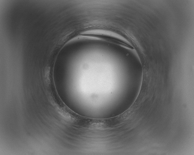 X0000073870066200608101520