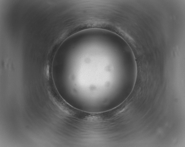 X0000073870067200608101520