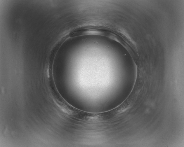 X0000073870068200608101520