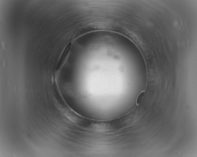 X0000073870069200608101520