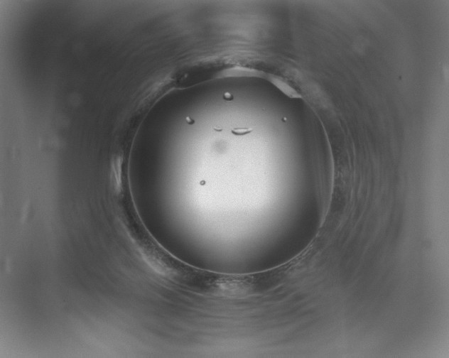 X0000073870070200608101520