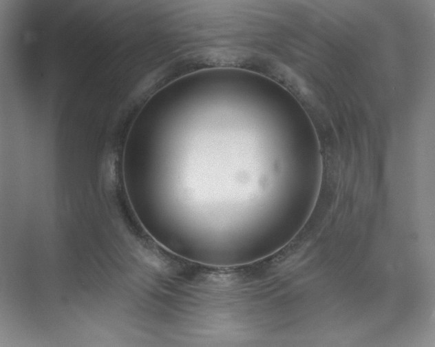 X0000073870071200608101520