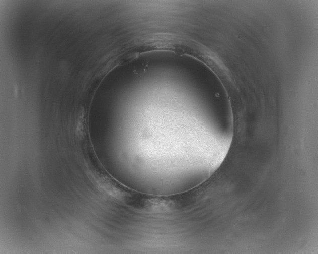 X0000073870073200608101520