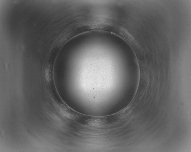 X0000073870074200608101520