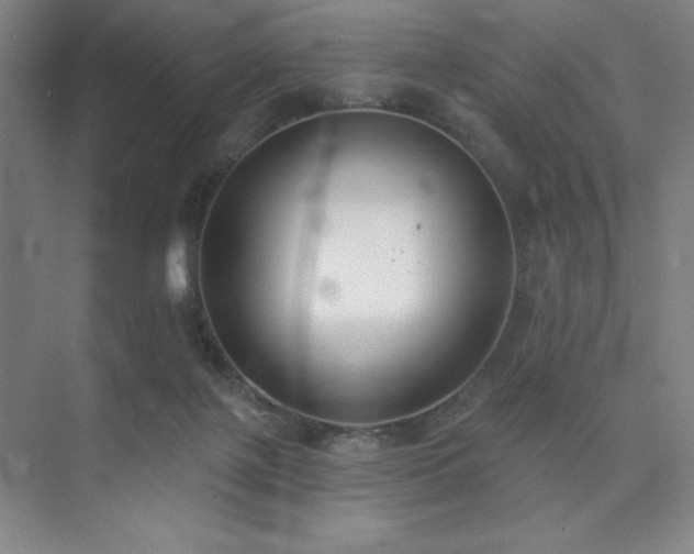 X0000073870075200608101520