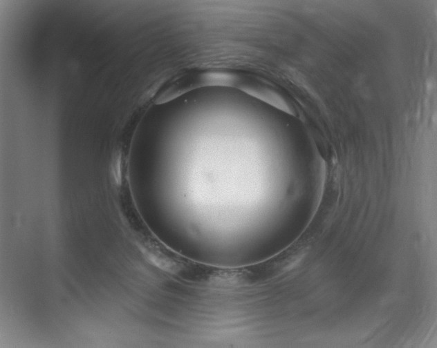 X0000073870076200608101520