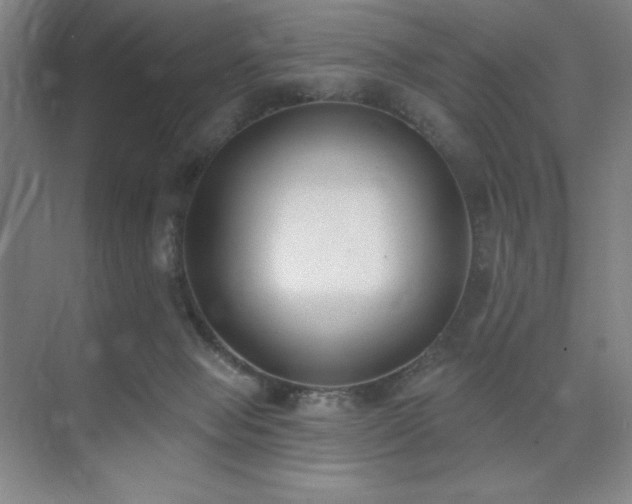 X0000073870077200608101520