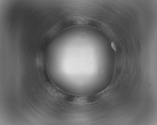 X0000073870078200608101521