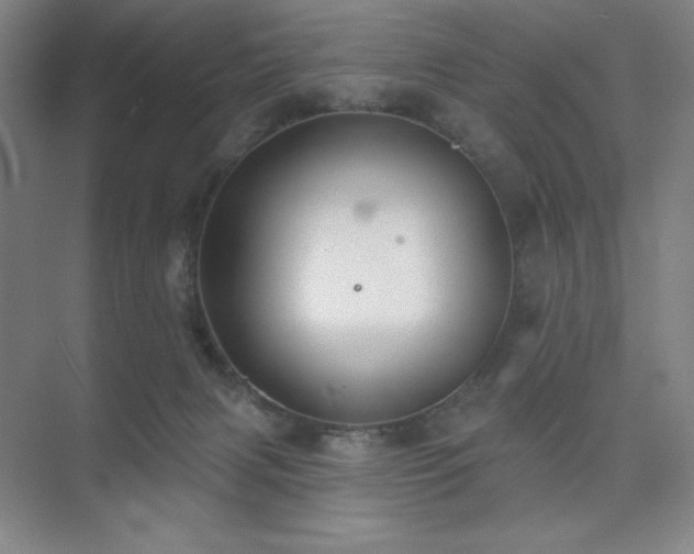 X0000073870079200608101521