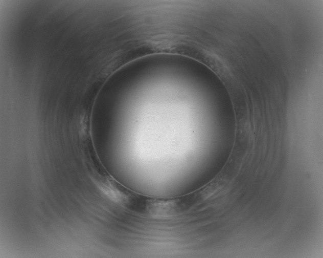 X0000073870081200608101521