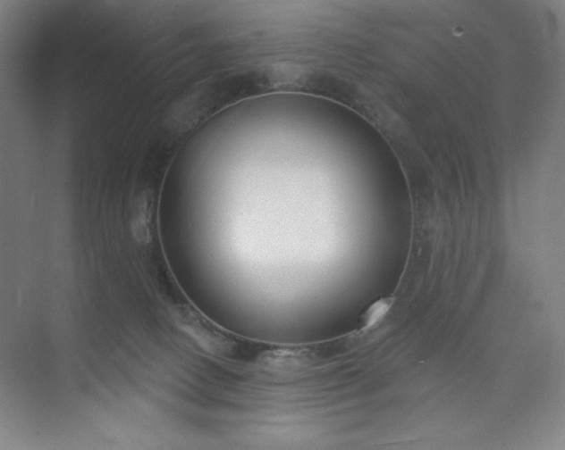 X0000073870082200608101521