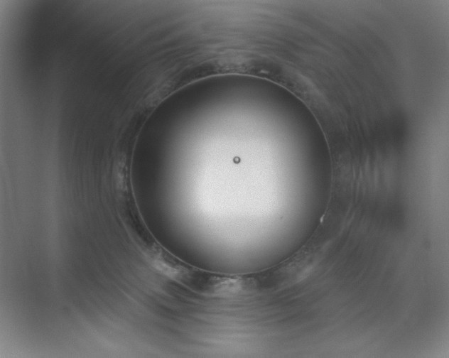 X0000073870083200608101521