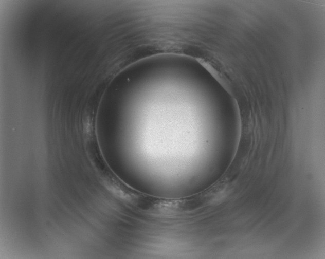 X0000073870084200608101521