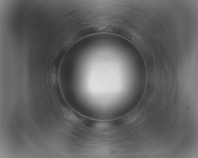 X0000073870085200608101521