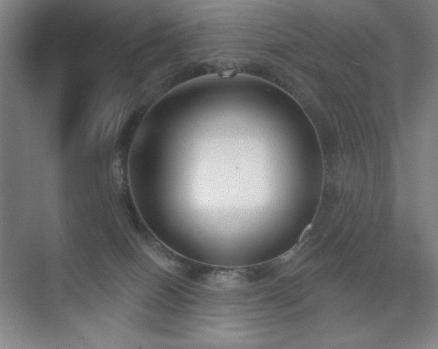 X0000073870086200608101521