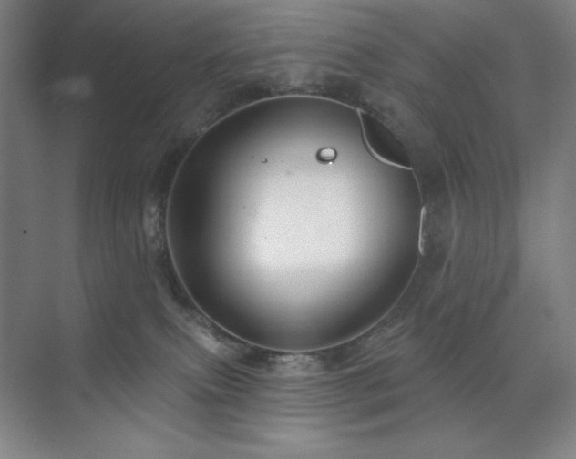 X0000073870087200608101521