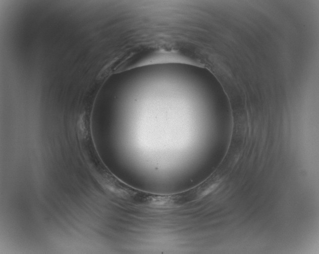 X0000073870088200608101521