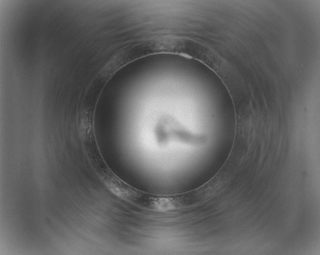 X0000073870091200608101521