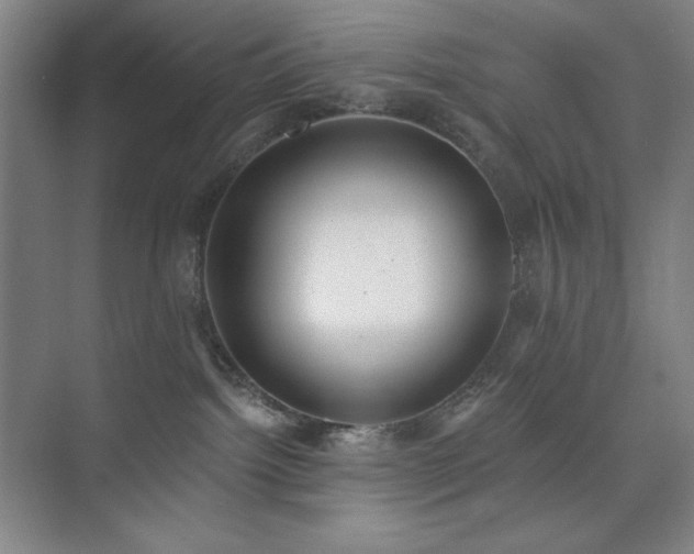 X0000073870092200608101521