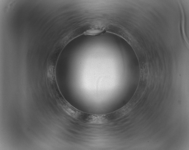 X0000073870093200608101521