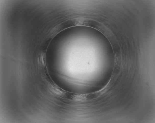 X0000073870094200608101521