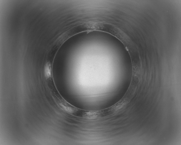 X0000073870095200608101521