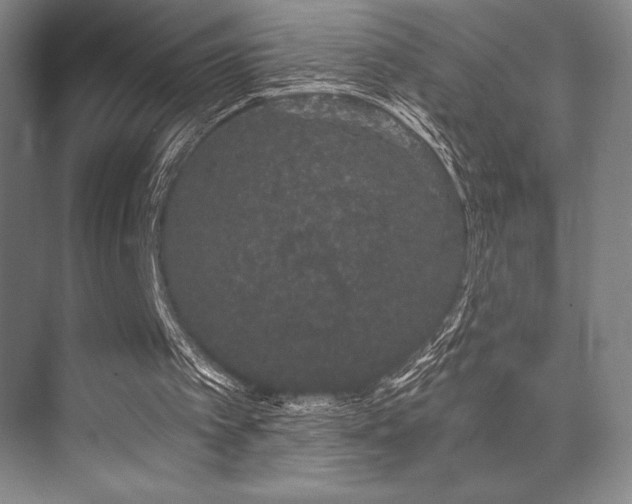 X0000073870097200608101520