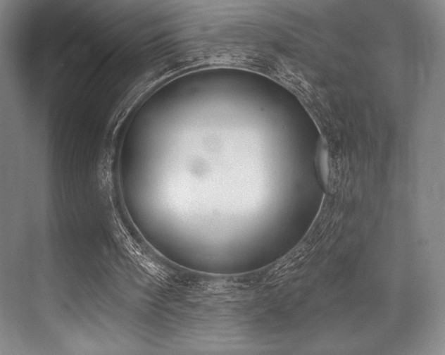 X0000073870098200608101520