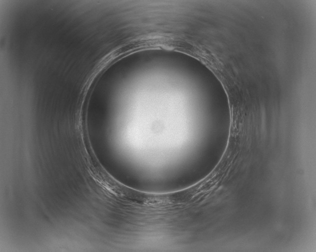 X0000073870099200608101520