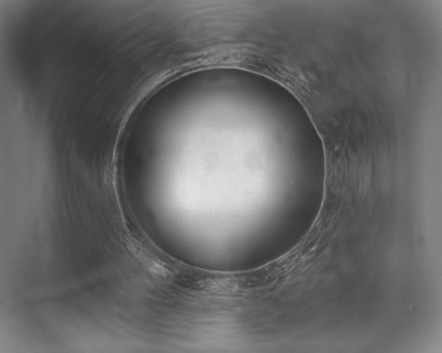 X0000073870100200608101520