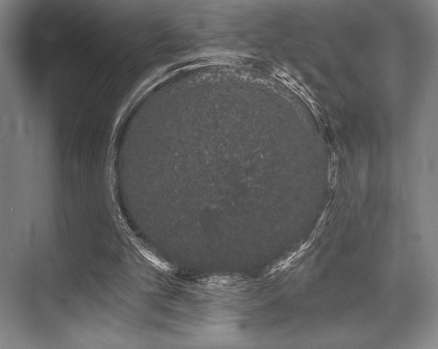 X0000073870101200608101520