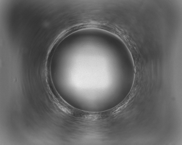 X0000073870102200608101520