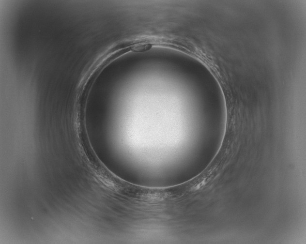 X0000073870103200608101520