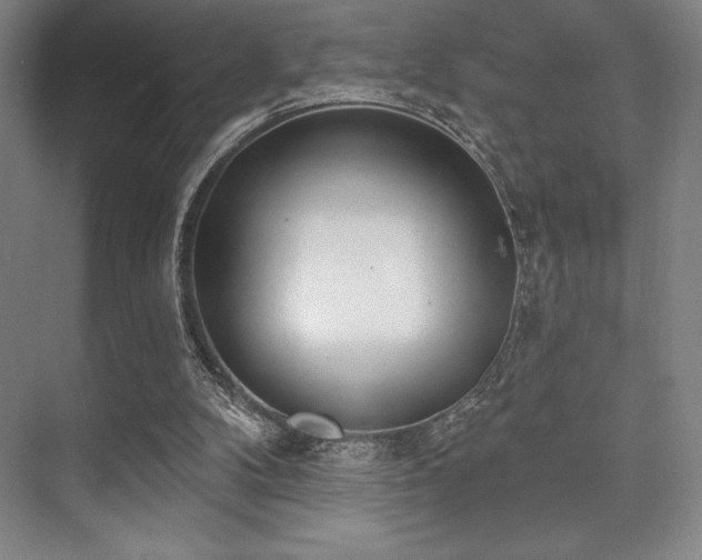 X0000073870104200608101520