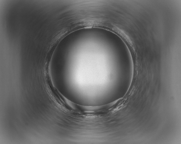 X0000073870105200608101520