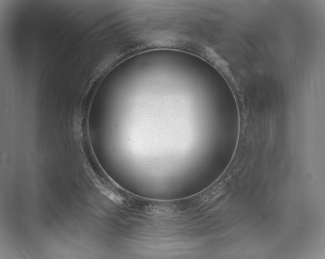 X0000073870106200608101520