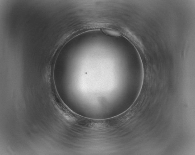 X0000073870107200608101520