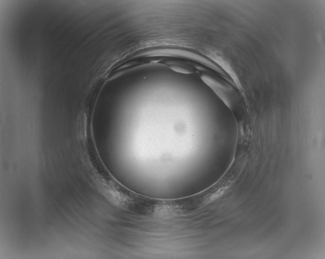 X0000073870109200608101520