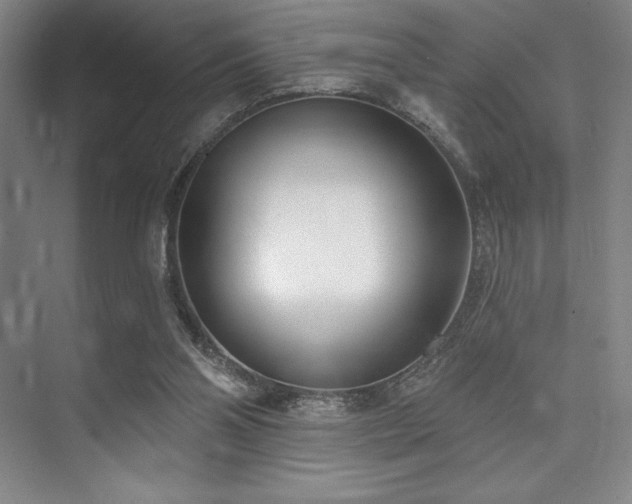 X0000073870110200608101520