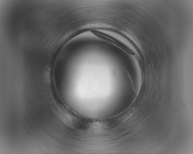 X0000073870111200608101520