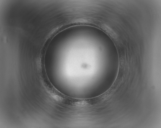 X0000073870112200608101520