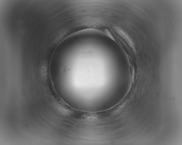 X0000073870113200608101520