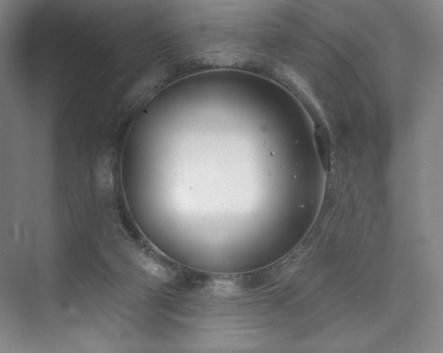 X0000073870114200608101520