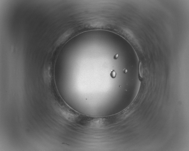 X0000073870116200608101520