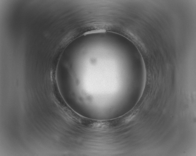 X0000073870117200608101520