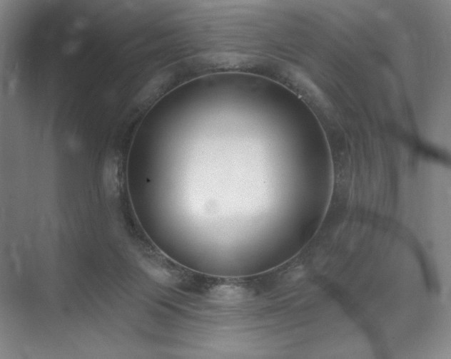 X0000073870119200608101520