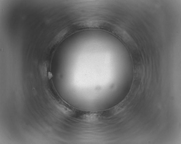 X0000073870120200608101520