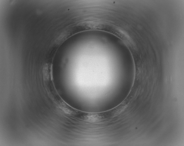 X0000073870121200608101520