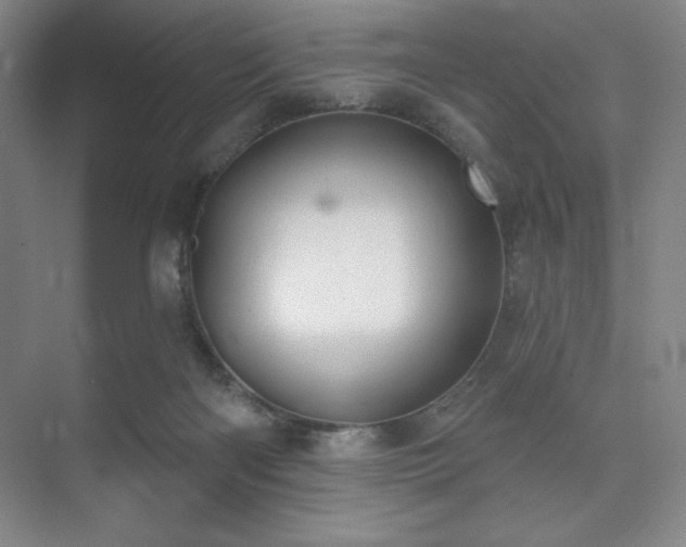 X0000073870122200608101520