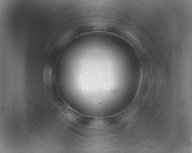 X0000073870123200608101520